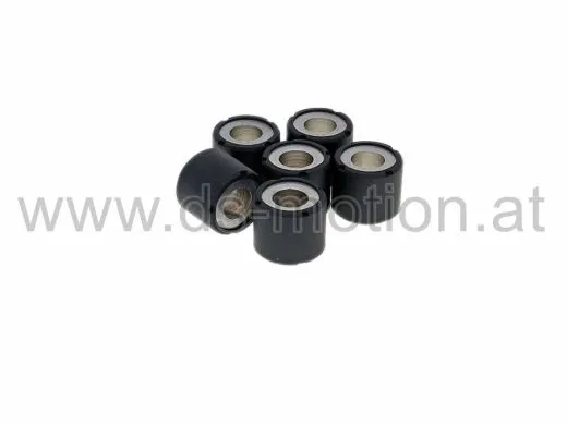 Variorollenkit 19 x 17, 8,7 gr.