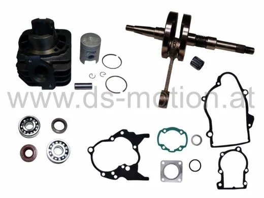 Motorreparatursatz Kymco 50ccm, AC, stehender Zylinder, CX, Curio, DJ, K12, Scout, ZX, Super Fever, Daelim Tapo, Message, Sym DD, Fiddle, Flash, Free