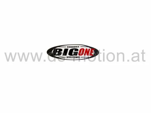 Aufkleber BIG ONE Logo, 80 x 25 mm