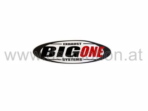 Aufkleber BIG ONE Logo, 120 x 40 mm