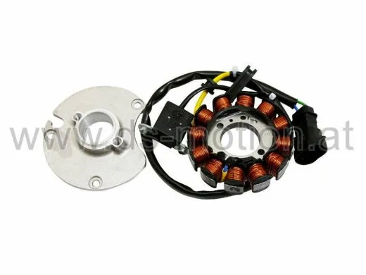 Zündplatte, Stator 12 polig, D50B E4-Motor, OEM, Aprilia RX, SX 2018-, Derbi Senda R, SM 2018-