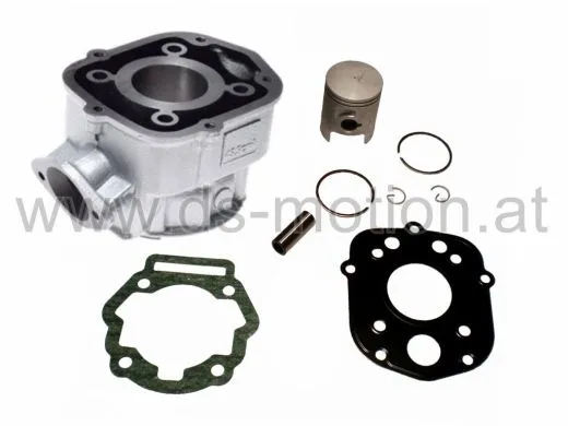 Zylinder Derbi D50B, 50 ccm, Guß ohne Kopf, DS Racing, Derbi Senda 2006-, Aprilia RS 2006-, RX, SX 2006-, RS4, Derbi GPR 2006-, Gilera RCR 2006-, SMT 2006-