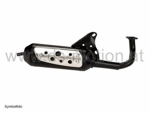 Auspuff Tecnigas Silent-Pro Daelim Cordi, Message, Honda Dio, Elite, Kymco Motor - stehender Zylinder CX, Curio, DJ, DJR, Fever ZX, K12, KB, Scout, ZX 50, Sym DD 50