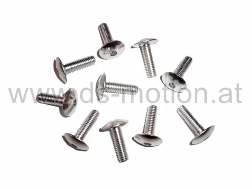 Verkleidungsschrauben Aluminium M6x20 silber universal 10 Stk.
