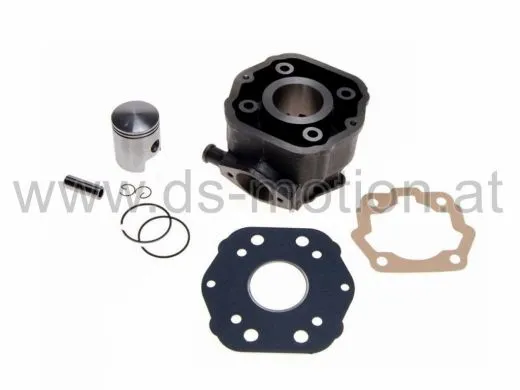 Zylinder Derbi EBE050, 50 ccm, Guß ohne Kopf, DS Racing, Senda -2005, Bultaco Lobito, Cagiva Mito, Derbi GPR -2005, Gilera RCR -2005, SMT -2005 (siehe Aktion - Repsatz kpl. 10121)