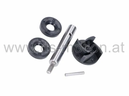 Wasserpumpenkit EBE050 Motor, Bultaco Lobito, Derbi GPR -2005, Senda -2005, Gilera RCR -2005, SMT -2005