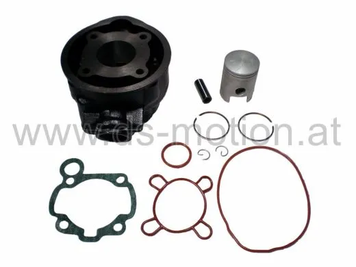 Zylinder AM6, 50 ccm, Guß ohne Kopf, DS Racing, Aprilia RX - 2005, RS -2005, MX, Tuono, Beta, Generic Trigger, HRD, Keeway, Malaguti, MBK, Motorhispania, Peugeot, Ride, Rieju, Yamaha