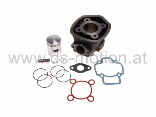 Zylinder Piaggio Motor 50 ccm, LC, ohne Kopf, Zylinder für 5 eckigen Kopf, 2000-, Aprilia SR, Derbi Atlantis LC, Gilera Runner LC, Piaggio LC