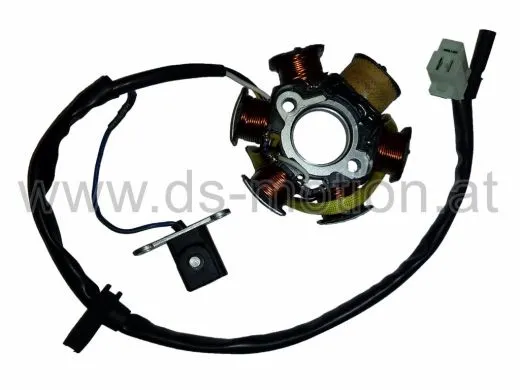 Zündplatte, Stator 6 polig, Peugeot 50 ccm, 2005-, liegender Zylinder, Jetforce, Ludix, Speedfight, Vivacity