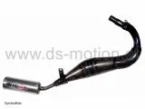 Auspuff BIG ONE Racing Yahama TZR, lower Version