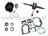 Motorreparatursatz Minarelli Motor 50ccm, AC, liegender Zylinder, KB 10 mm, Adly, Aeon, Aprilia, Benelli, Beta, CPI Motor Euro 1, Hercules, Malaguti, MBK, Rex, Rieju, Sachs, Yamaha