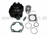 Zylinder Minarelli Motor 50 ccm, AC, liegender Zylinder ohne Kopf, KB 10 mm, Aprilia, Benelli, Beta, Malaguti, MBK, Yamaha: Jog, Neos, Brezze, CPI Motor Euro 1: Adly, Aeon, CPI, Dinli, E-Ton, Explorer, Generic, Hercules, Kreidler, Rieju