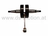 Kurbelwelle Derbi EBE050 Motor, verstärkt, DS Racing, Derbi Senda -2005, Bultaco Lobito, Cagiva Mito, Derbi GPR -2005, Gilera RCR -2005, SMT -2005