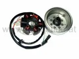 Zündplatte, Stator 6 polig mit Schwung, Derbi Senda EBE, D50B Motor, Aprilia RX 2006-, SX 2006-, Derbi Senda Motor: EBE050 u. D50B, Gilera RCR, SMT
