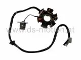 Zündplatte, Stator 6 polig, GY6 125-150 ccm, Boatian, Kreidler, Rex, Sym, Znen