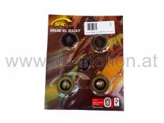Simmerringsatz Puch DS, M50, 4 Gang Motoren