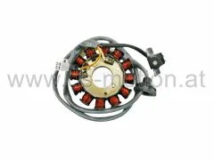 Zündplatte, Stator 12 polig, Minarelli Motor 50 ccm mit Ducati Zündung, ab ca. 2004, Aprilia, Malaguti, MBK Booster, Nitro, Yamaha Aerox